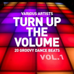 Turn up the Volume (20 Groovy Dance Beats), Vol. 1