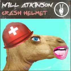 Crash Helmet