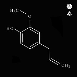 Eugenol (Extended Mix)