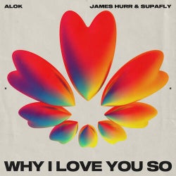 Why I Love You So (Extended Mix)