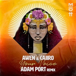 Your Voice (Adam Port Remix)