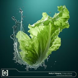 Crispy Lettuce