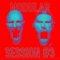 Modular Session #3