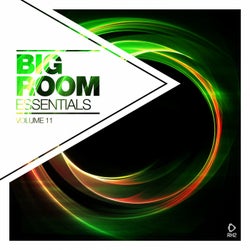 Big Room Essentials Vol. 11