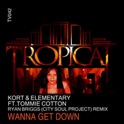 Wanna Get Down (Ryan Briggs (City Soul Project) Remix)