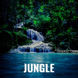 Jungle