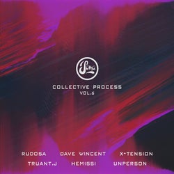 Collective Process Vol. 6