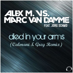 Died in Your Arms (Calmani & Grey Remix)