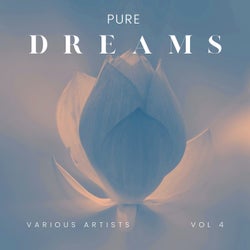 Pure Dreams, Vol. 4