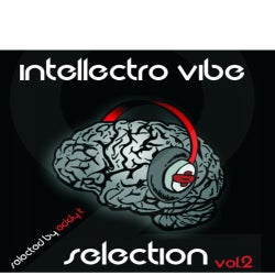 Intellectro Vibe Selection Vol. 2