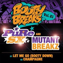 Booty Breaks Vol 21