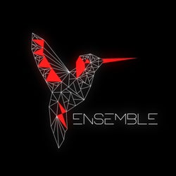 Ensemble // 01