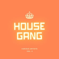 House Gang, Vol. 3