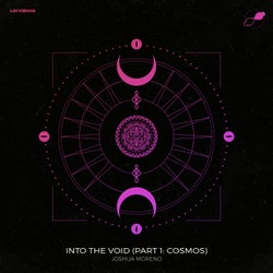 Into the Void (Part I: Cosmos)