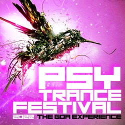 Psytrance Festival 2022: The Goa Experience