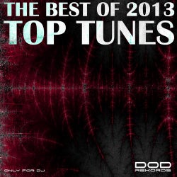 The Best Of 2013 - TOP TUNES