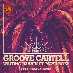 Waiting In Vain (Boddhi Satva Remix)