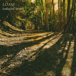 LOAM