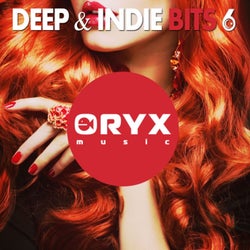 Deep & Indie Bits, Vol. 6