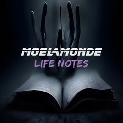 Life Notes