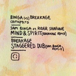 Binga vs Breakage