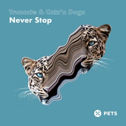 Never Stop EP