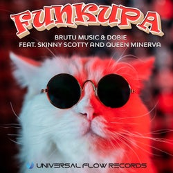 Funkupa