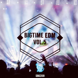 Bigtime EDM, Vol. 5