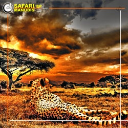 Safari