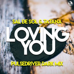 Loving You (Pulsedriver Dark Mix)