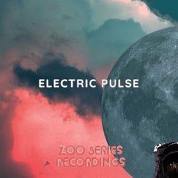 Electric Pulse