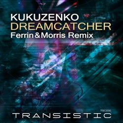 Dreamcatcher (Ferrin & Morris Remix)