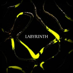 Labyrinth