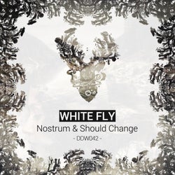 Nostrum & Should Change