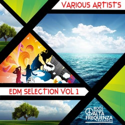 EDM Selection, Vol 1.