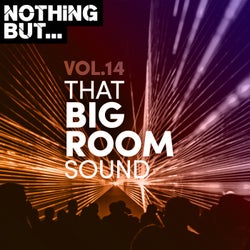 Nothing But... That Big Room Sound, Vol. 14