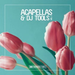 Enormous Tunes - Acapellas & DJ Tools, Vol. 1