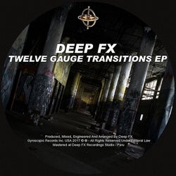 Twelve Gauge Transitions EP