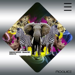 Moovee 001