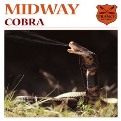 Cobra