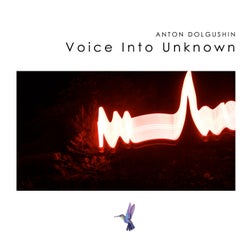 Voice into Unknown