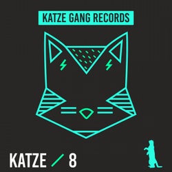 Katze 8