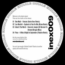 InEx009 V/A Remix EP (Kevin Over Remix)