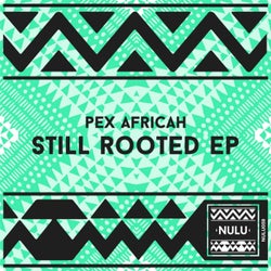 Still Rooted