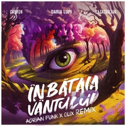 În bătaia vântului (Adrian Funk & OLiX Remix Extended)