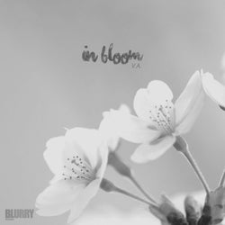 In Bloom, Vol. 1