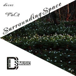 Surrounding Space, Vol. 2