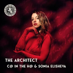 The Architect (Extended)