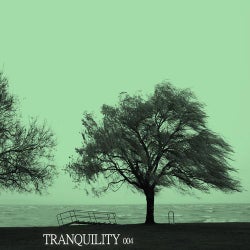 Tranquility 004