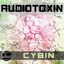 Cybin